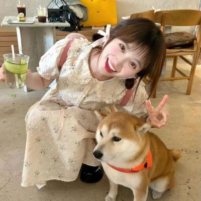 港灯物语