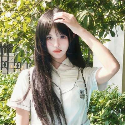 掌中雀