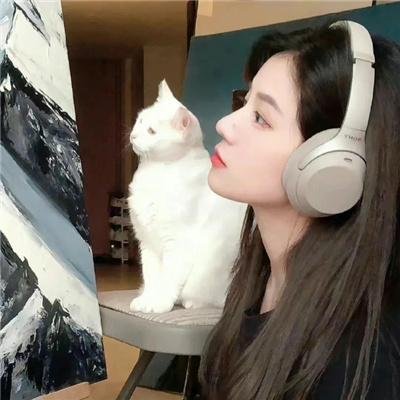 绽放的玫瑰